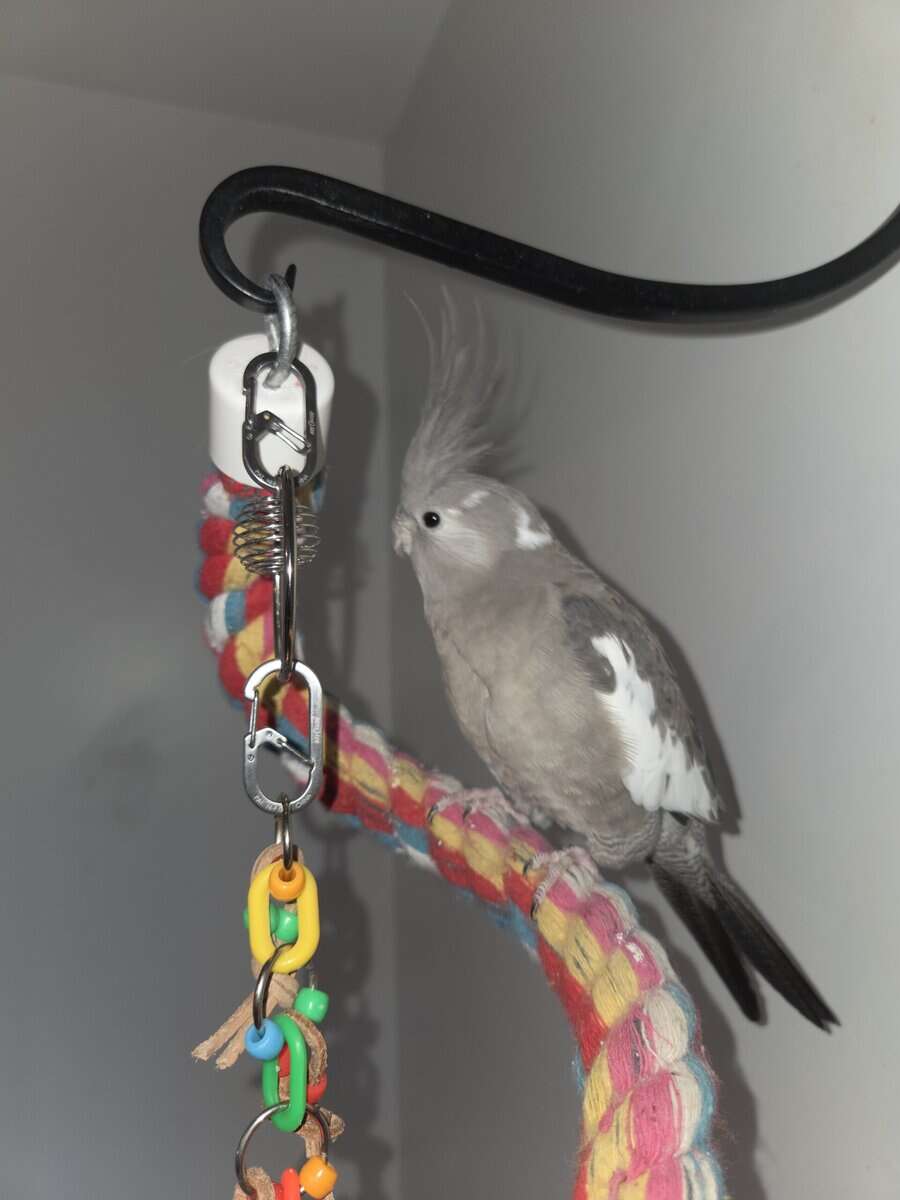 White Face Cocktiel image 1