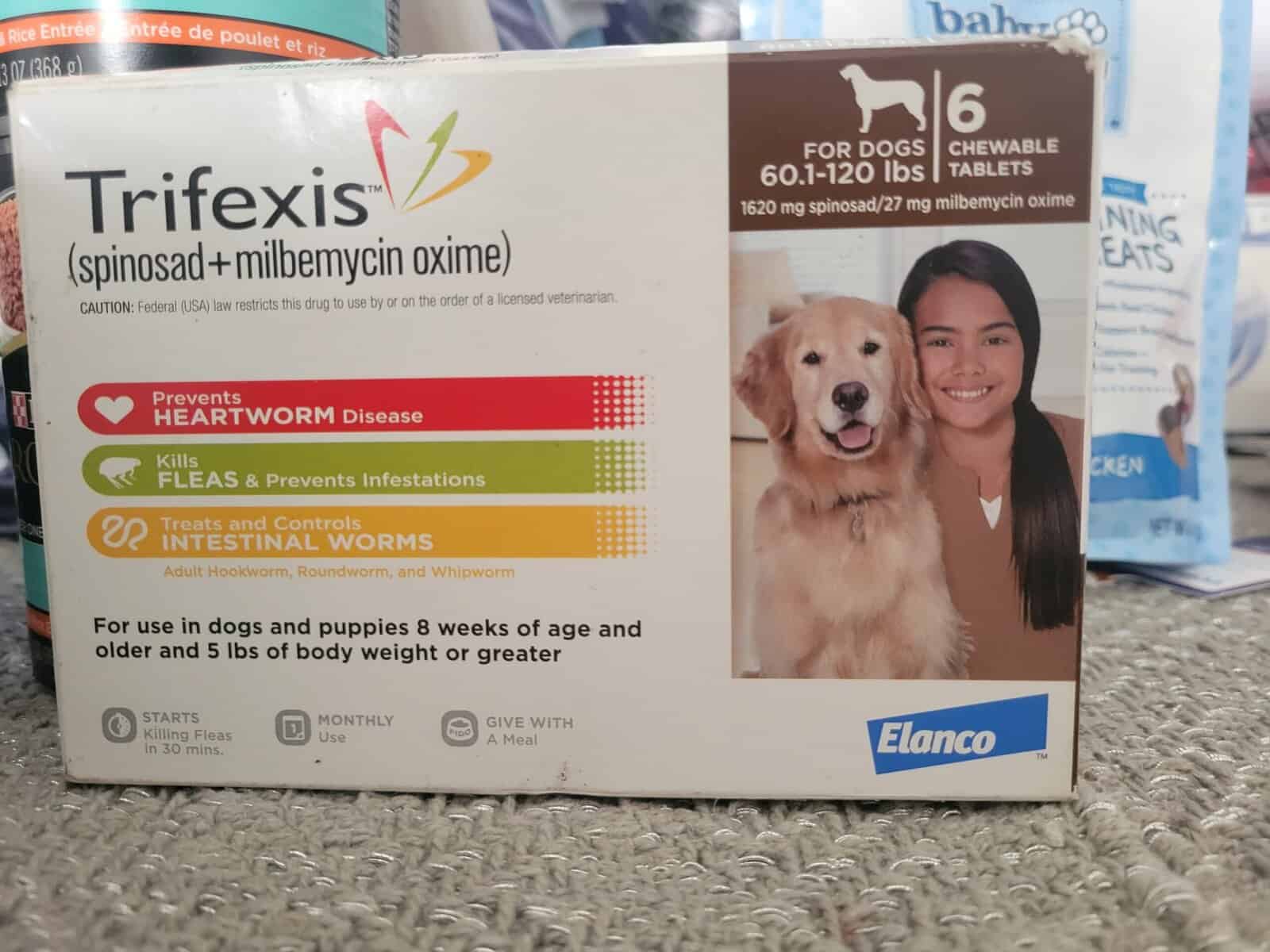 3m f pit terrier, w vet meds, food + acc's image 3
