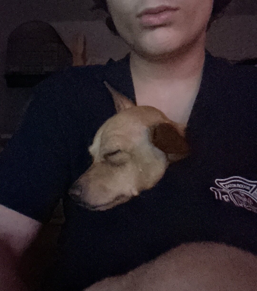 Balou image 3