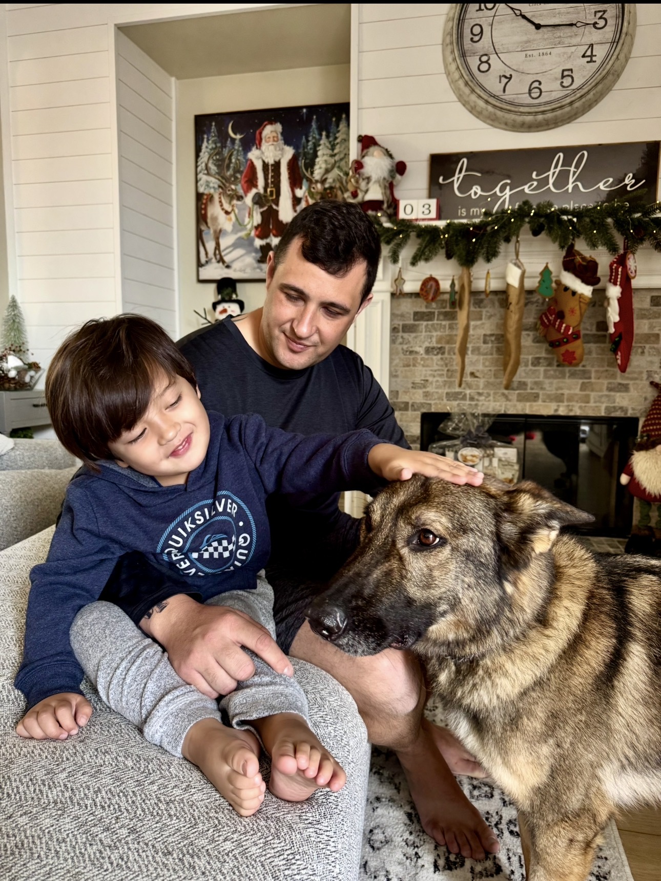 German Shepherd image 2