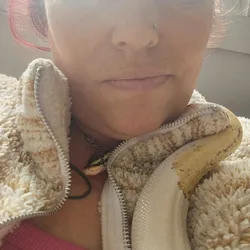 Rare Ball Python