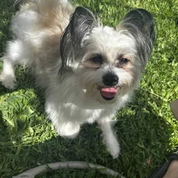 Looking for a new loving home
