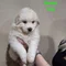 Thumbnail 18