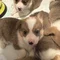 Thumbnail 13