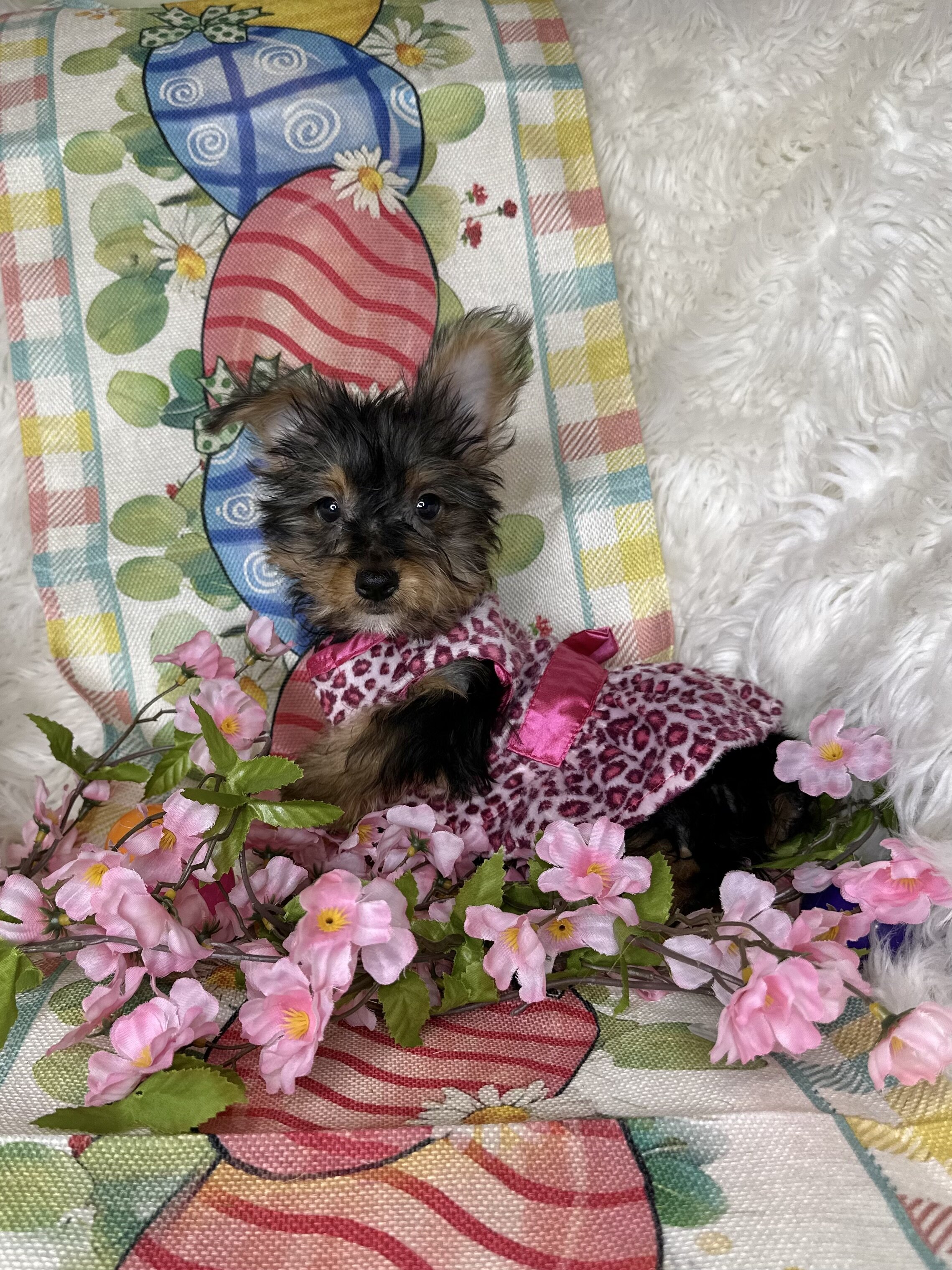 Betsy💕 image 1