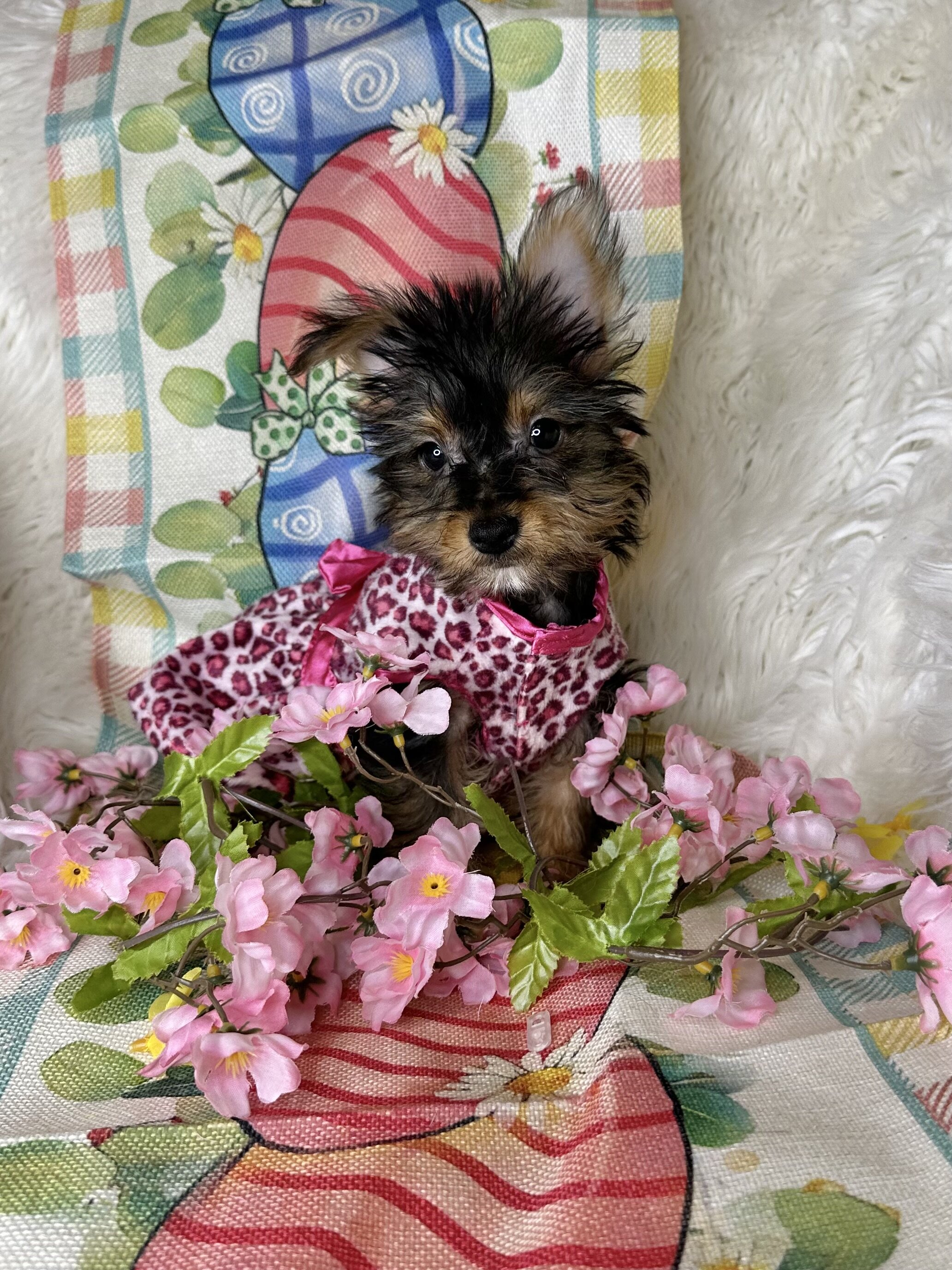 Betsy💕 image 2