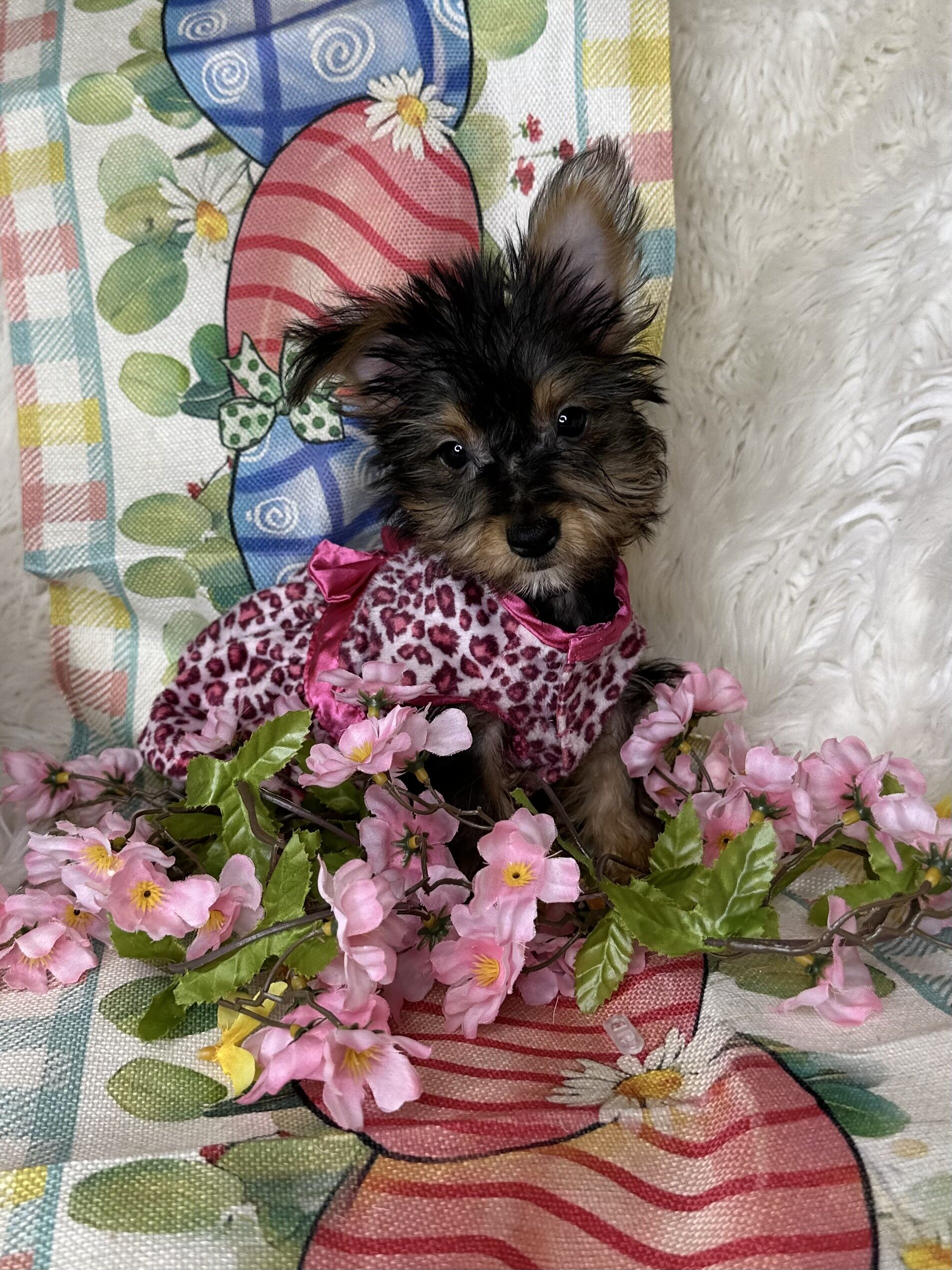 Betsy💕 image 3