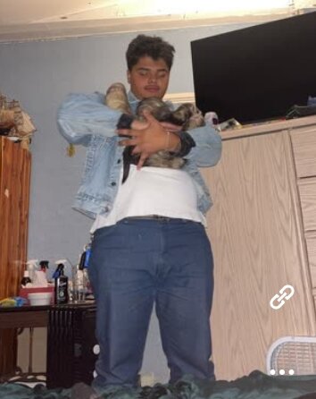 ferrets image 4