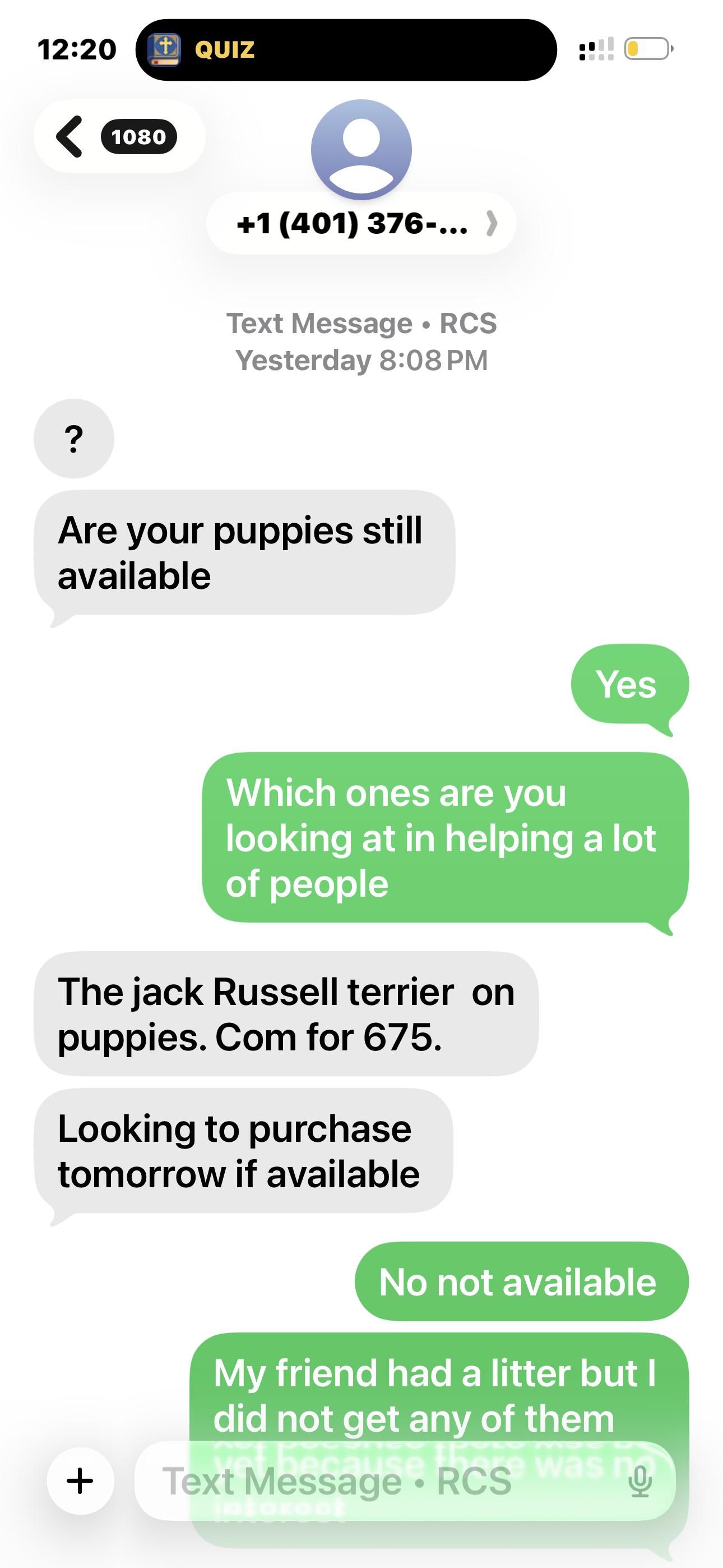 Goldendoodles image 4
