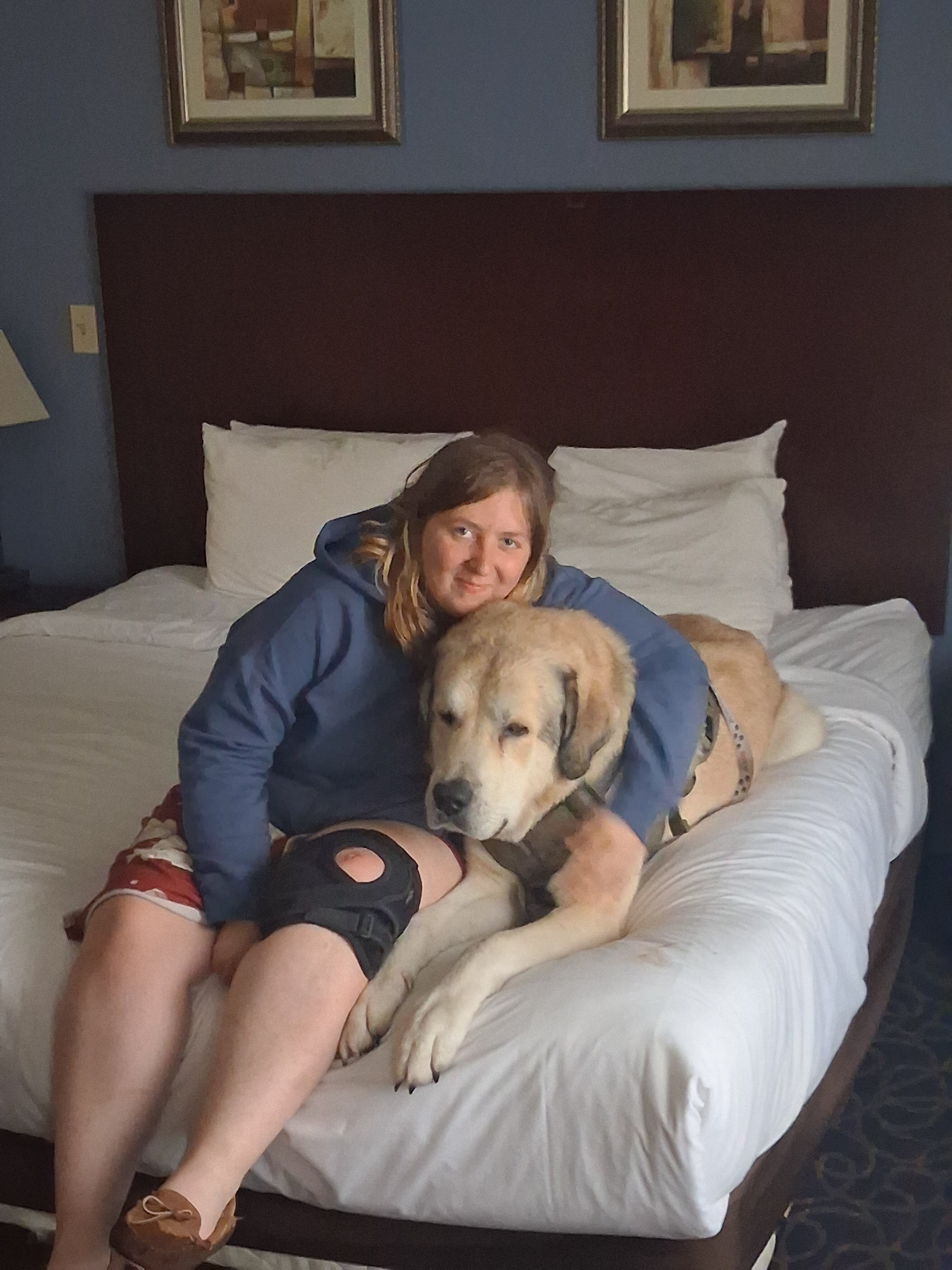 Great pyrenees mix image 1