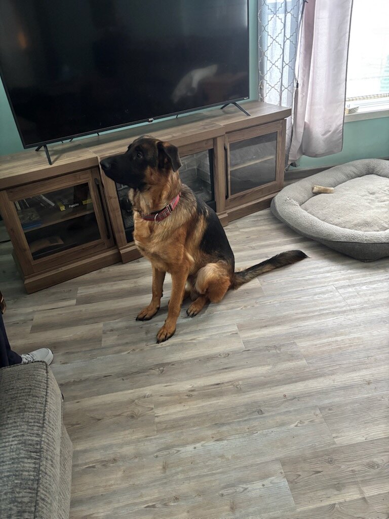 GSD image 3