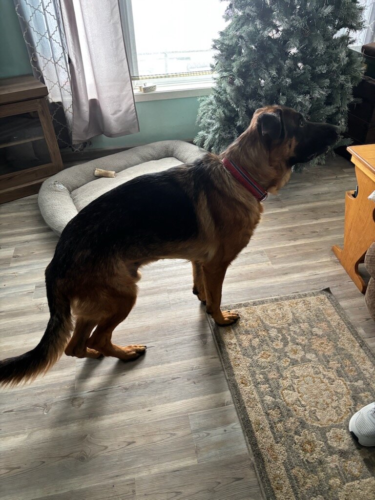 GSD image 1