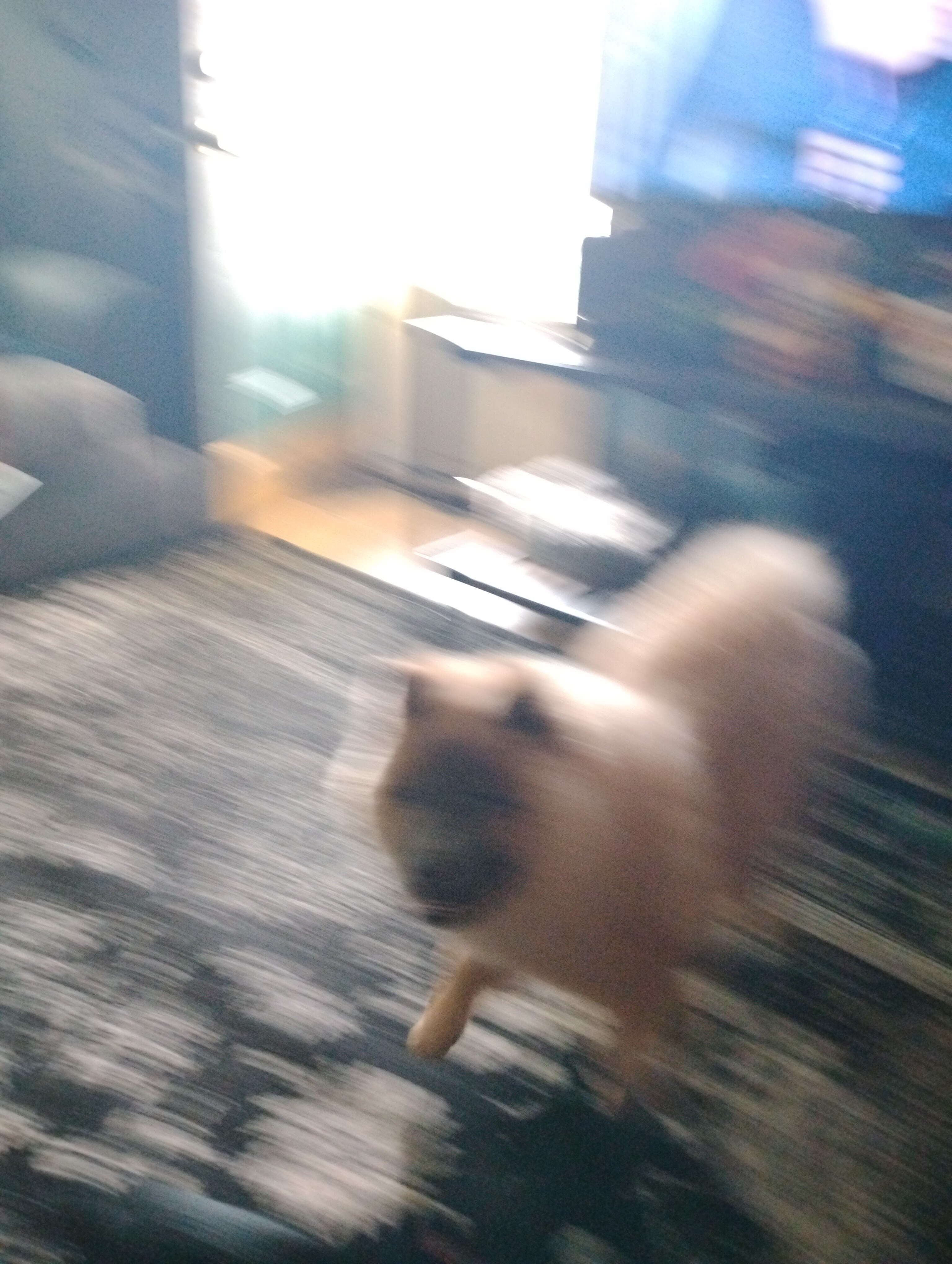 Puppy chow image 3