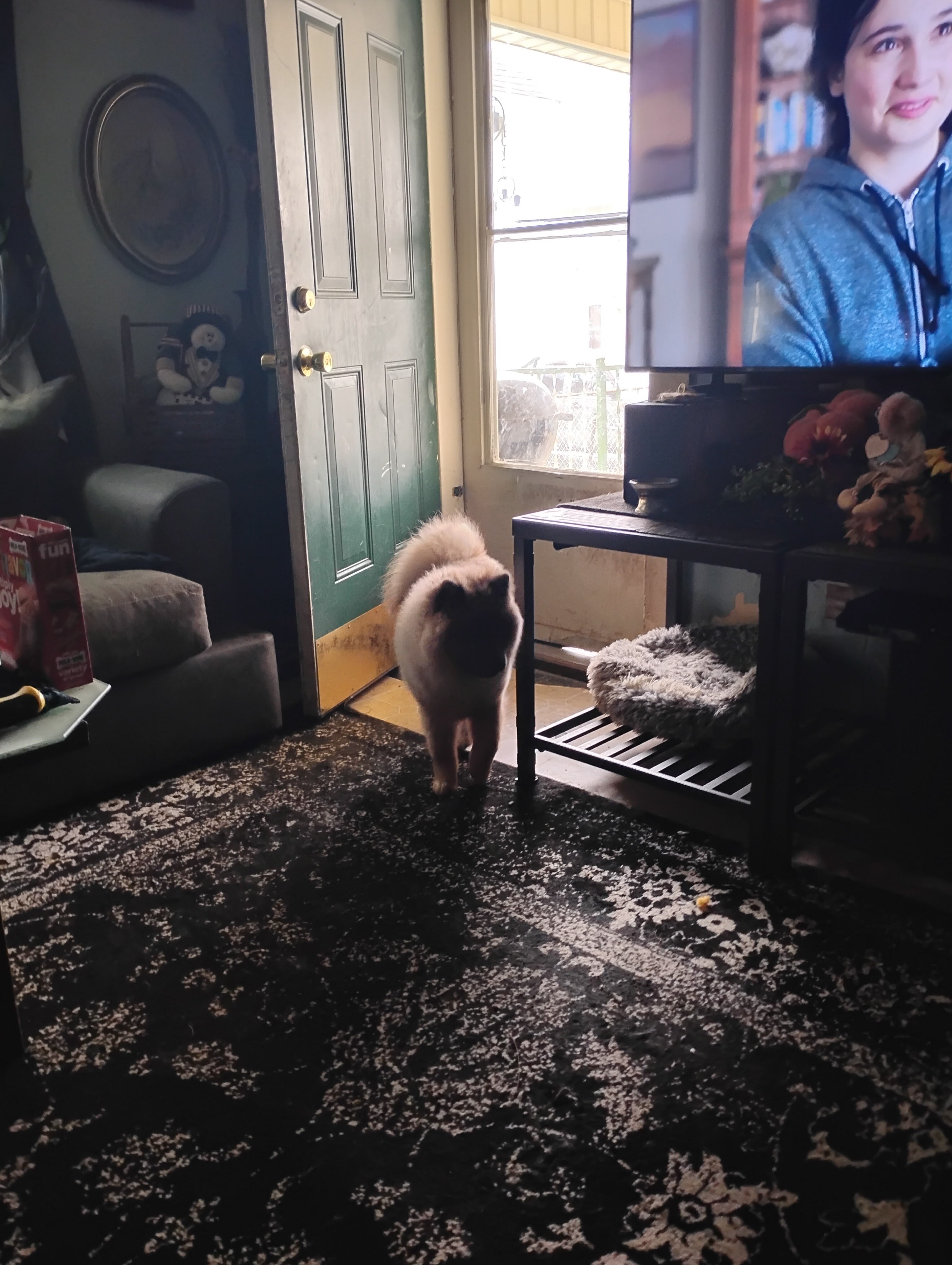 Puppy chow image 4