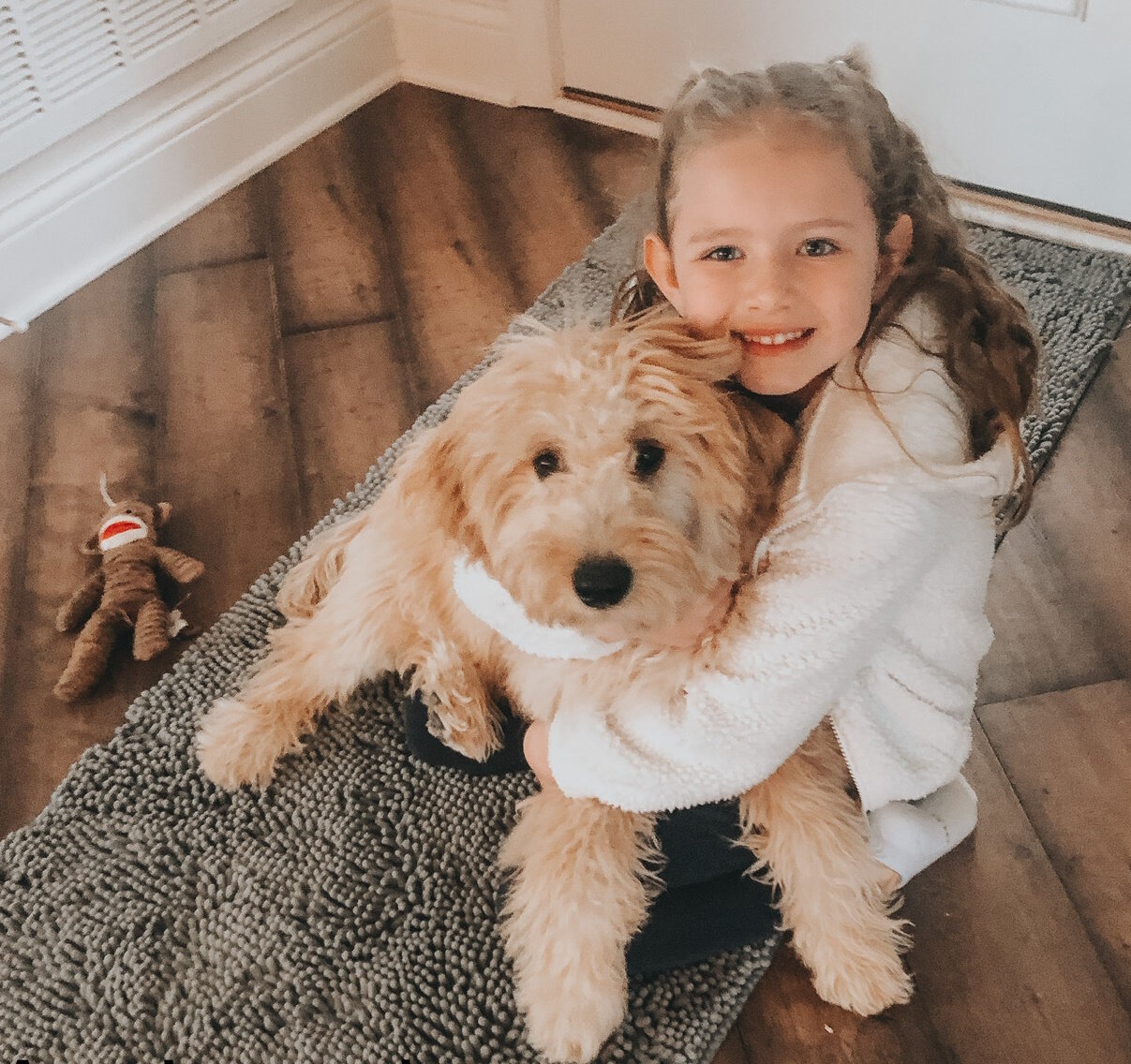 Lola Goldendoodles need a new home image 4