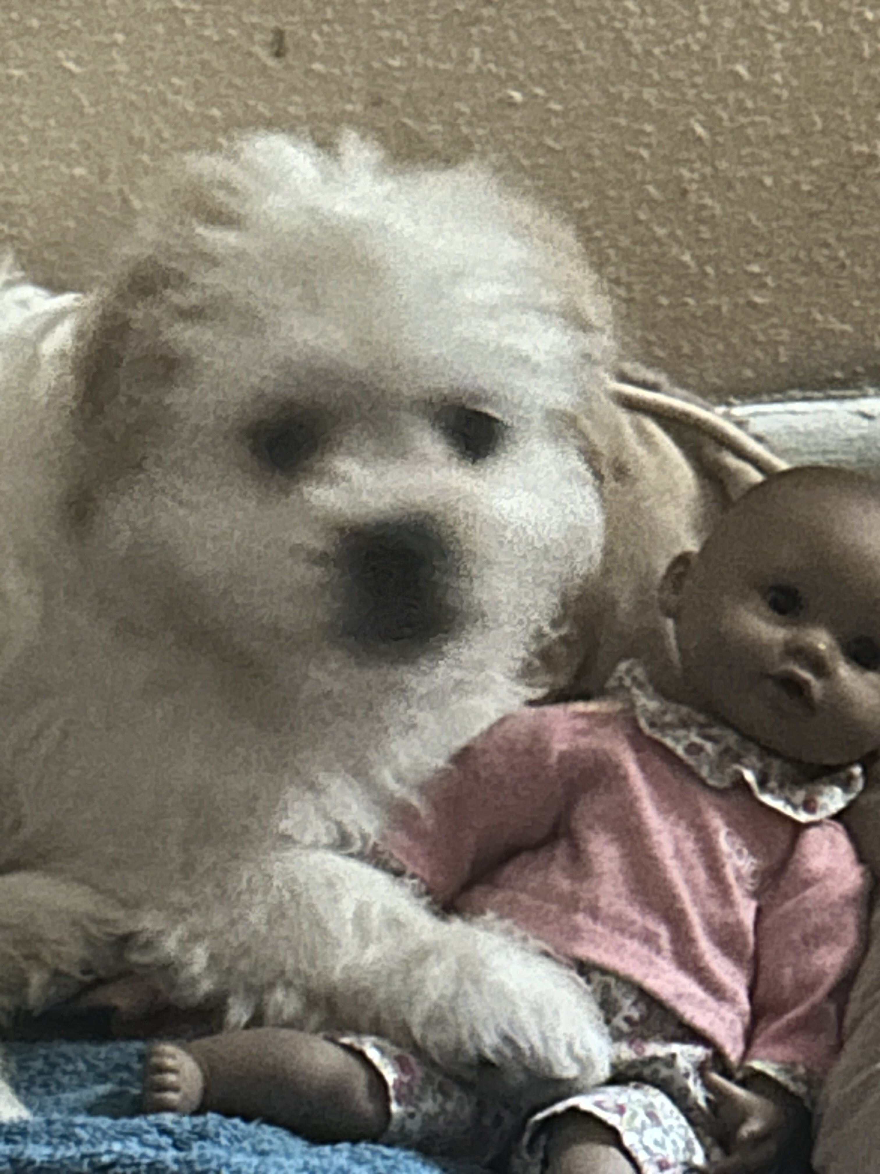 Rehoming image 1