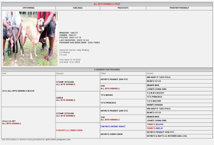 APBT: 2 males 2 Females Available image 2
