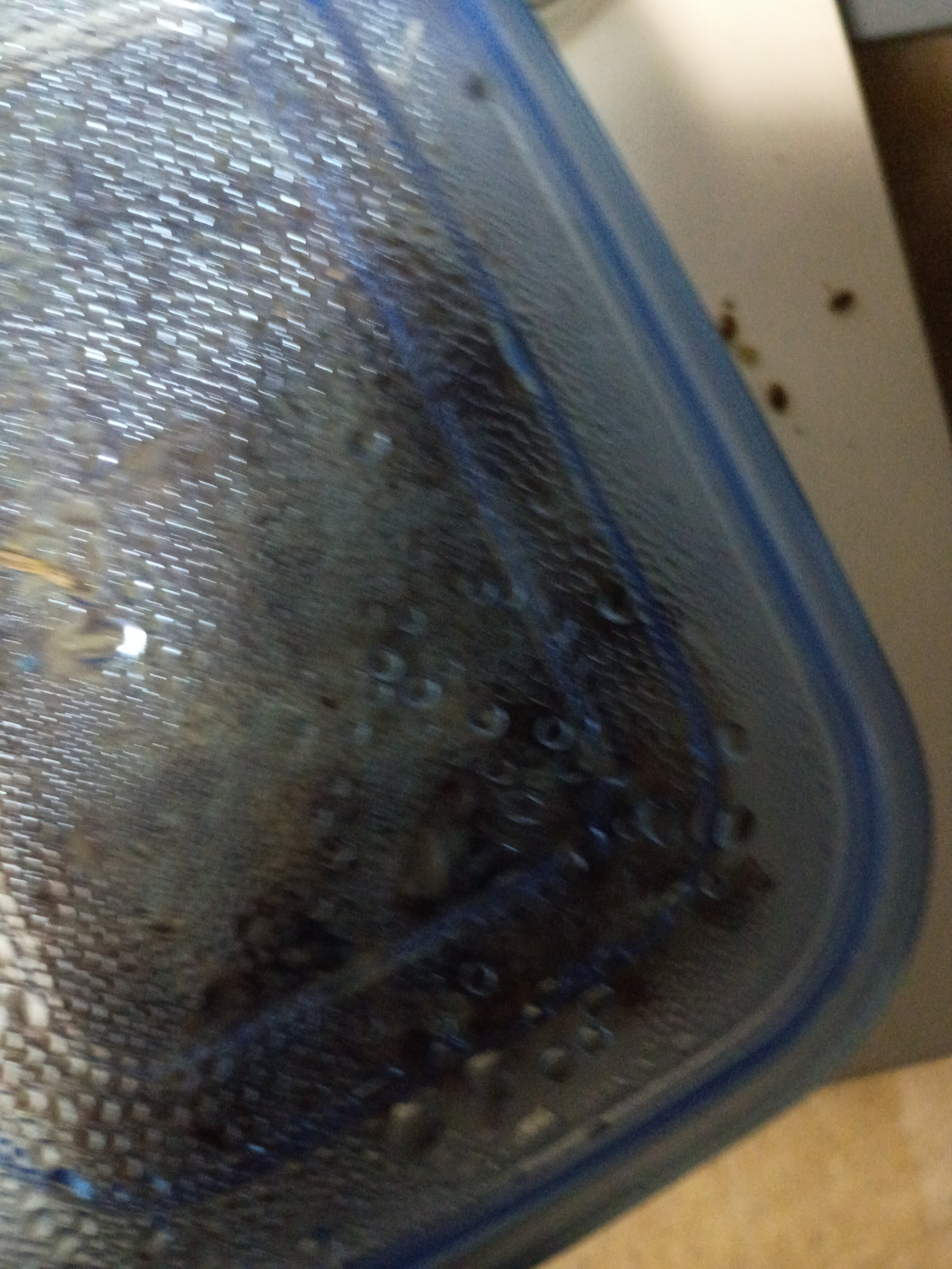 Looking for pet turtle for my 12yr daughter plz image 1