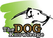 The Dog Knowledge image 3