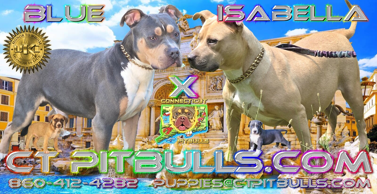 Blue & Isabella's beautiful litter image 3