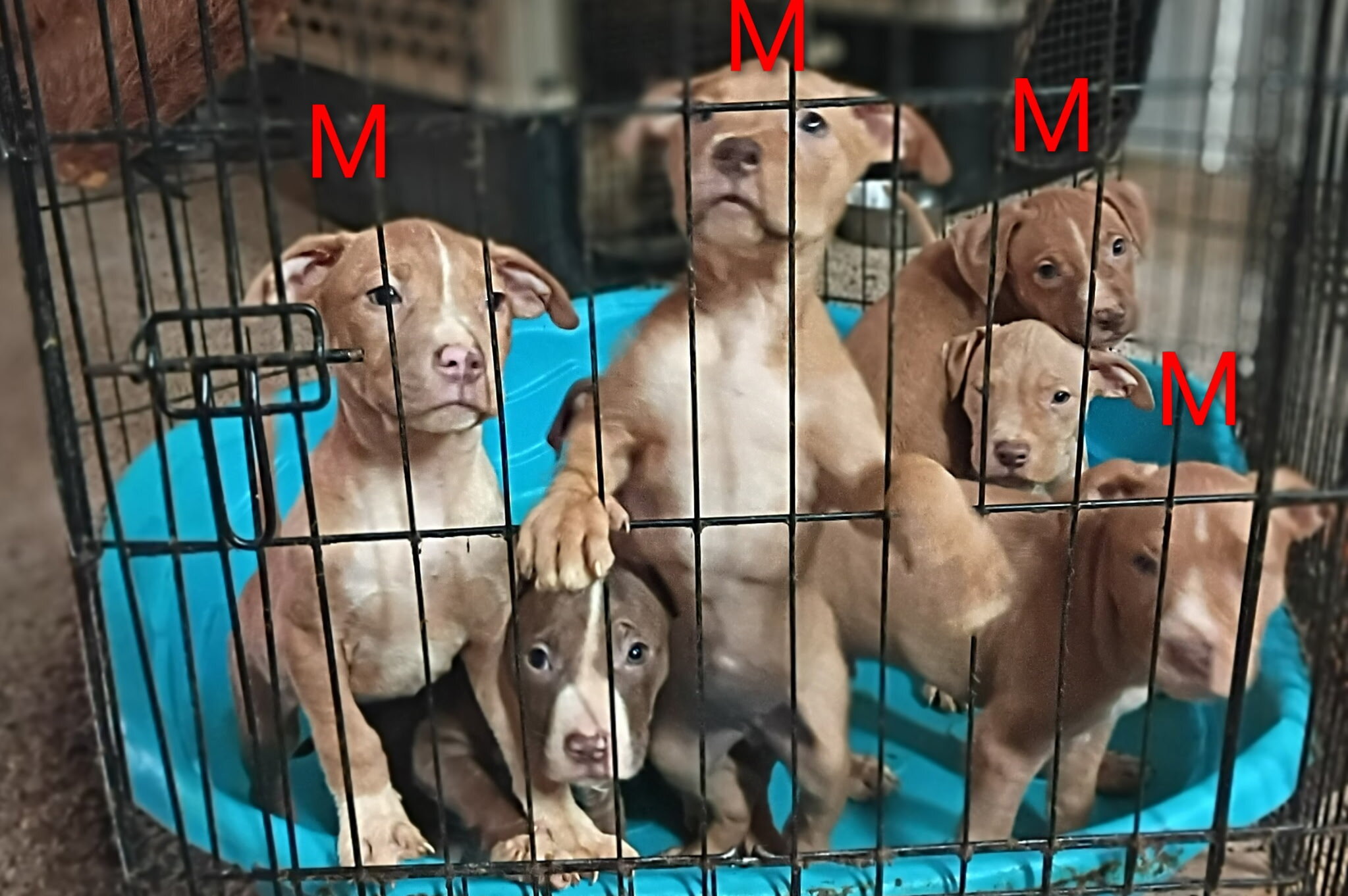 1 Male 1 Female image 1