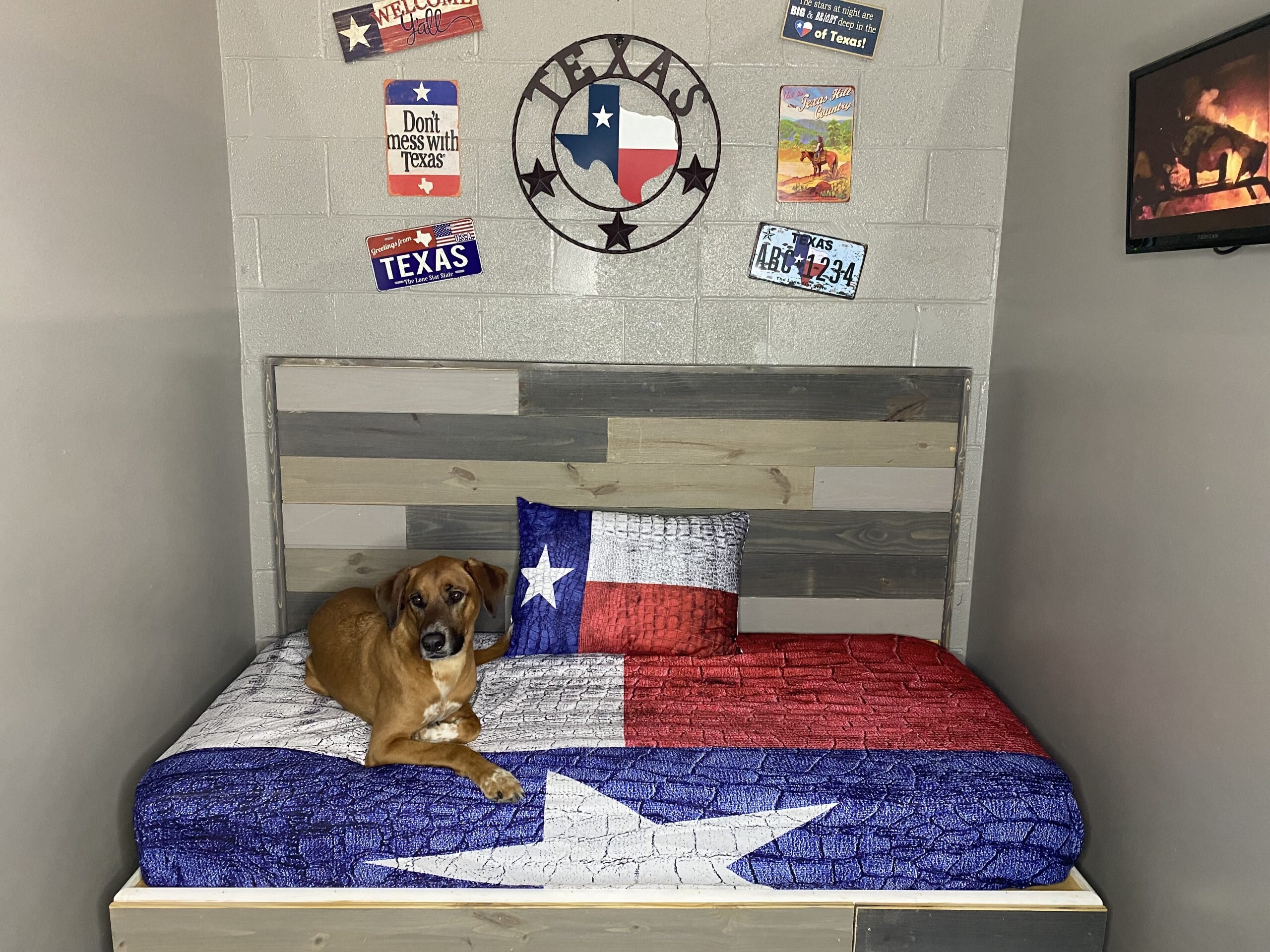 Underdog Kennels Dog Daycare and Boarding image 2