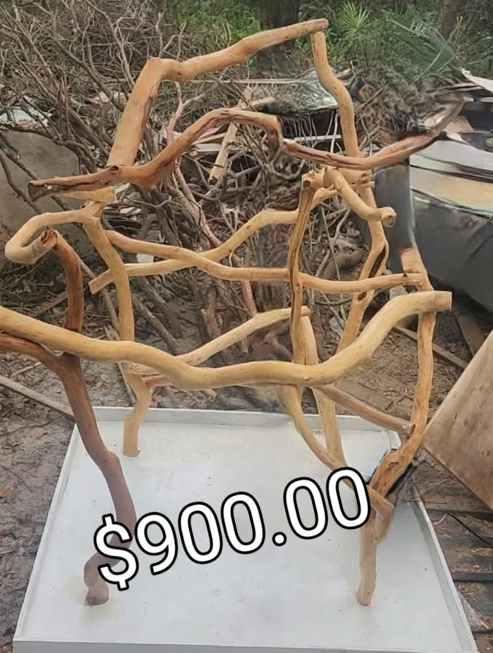 Custom perch stands image 9