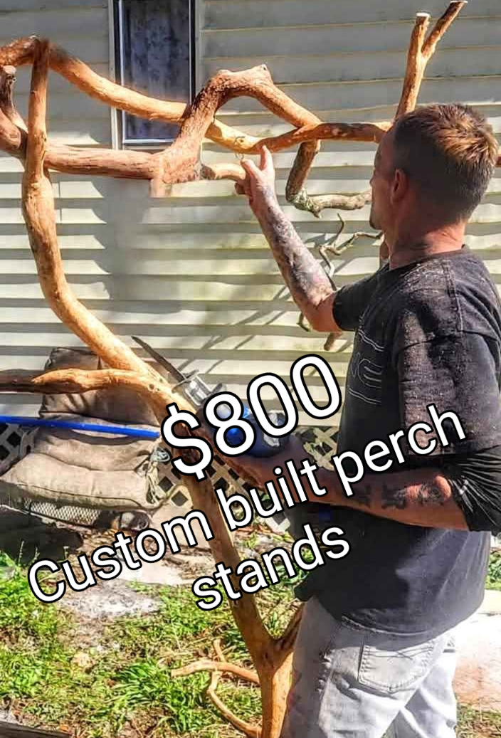Custom perch stands image 2