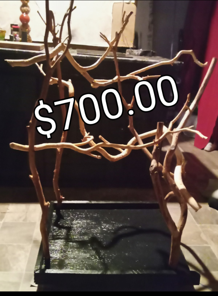 Custom perch stands image 7