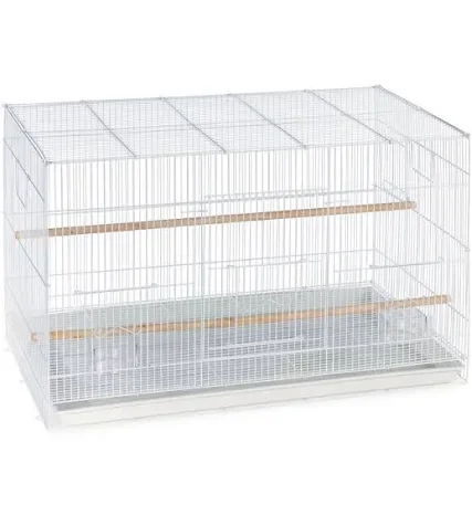 Bird Cage image 1