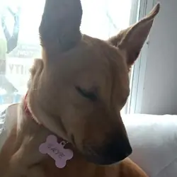 Skye