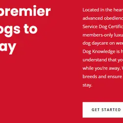 The Dog Knowledge