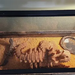 Leopard Gecko