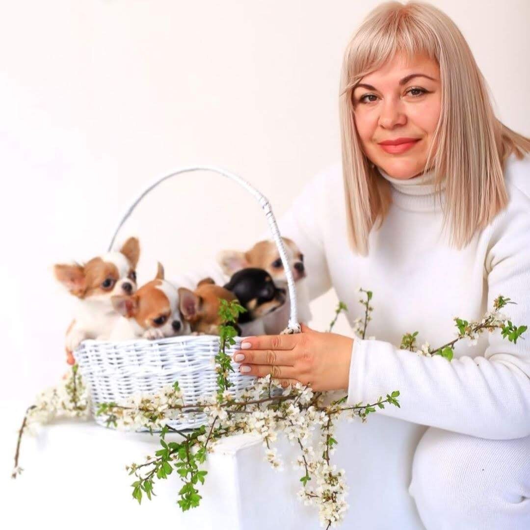 Healthy, Home-Raised Puppies Ready for Loving Home image 4