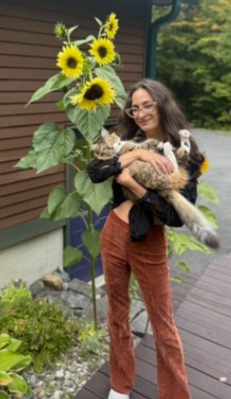 Looking for Maine Coon Kittens image 2