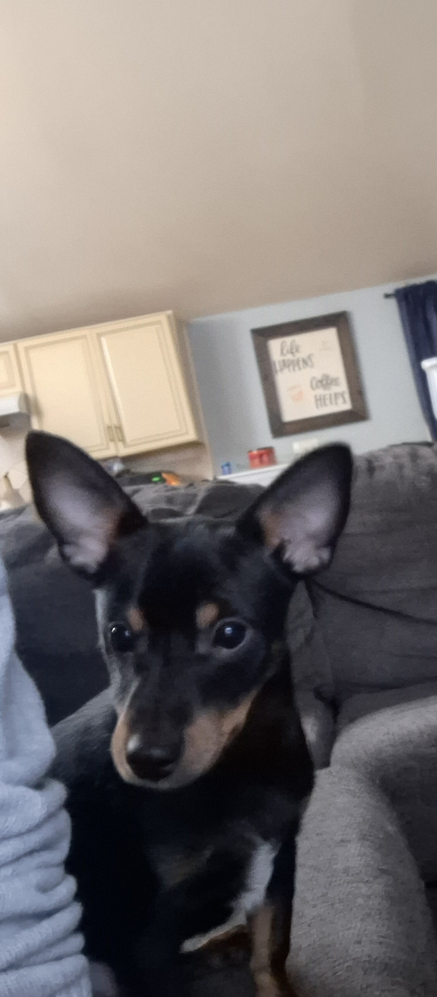 Jack Chi image 1