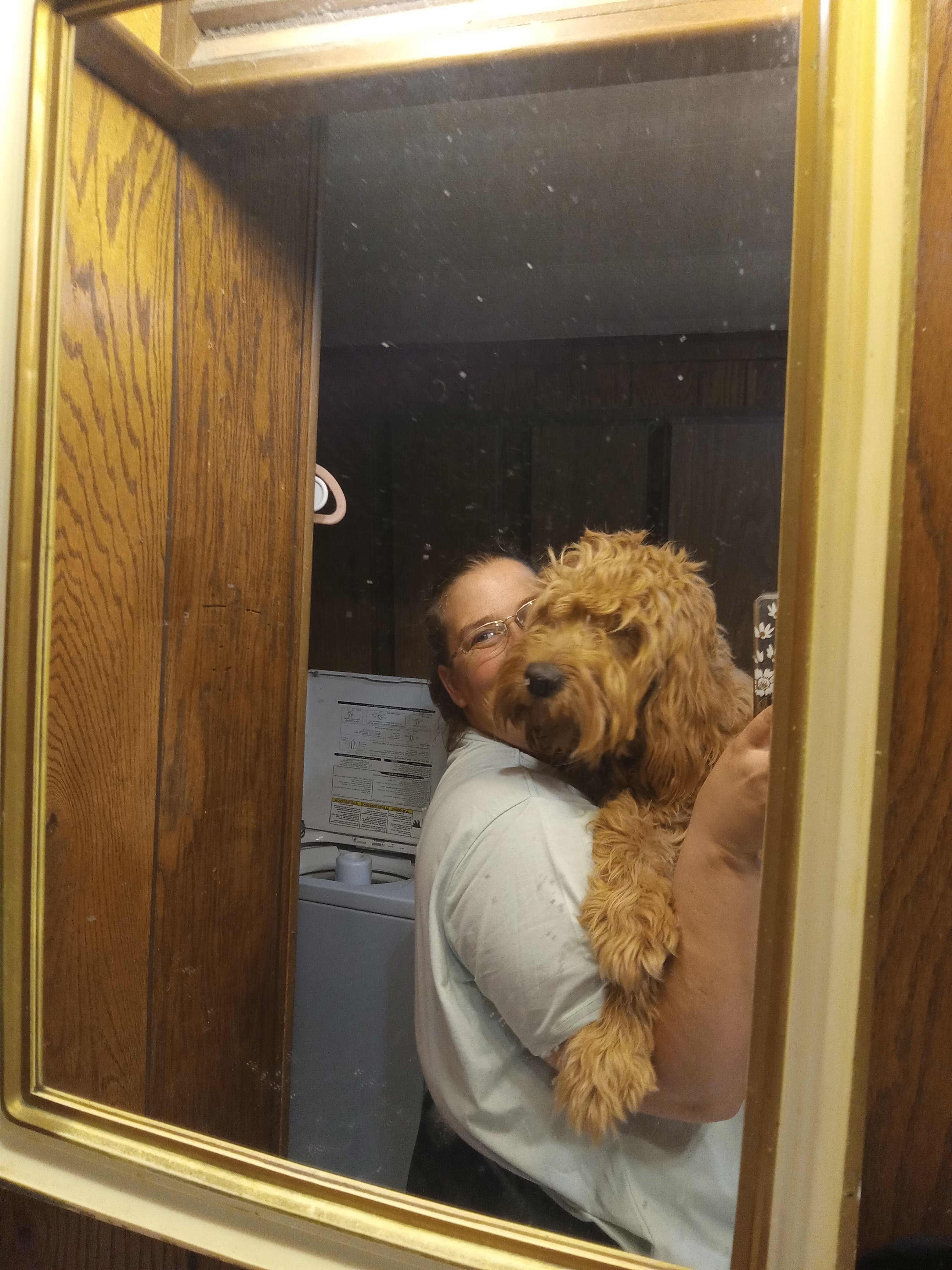Goldendoodles mini image 1