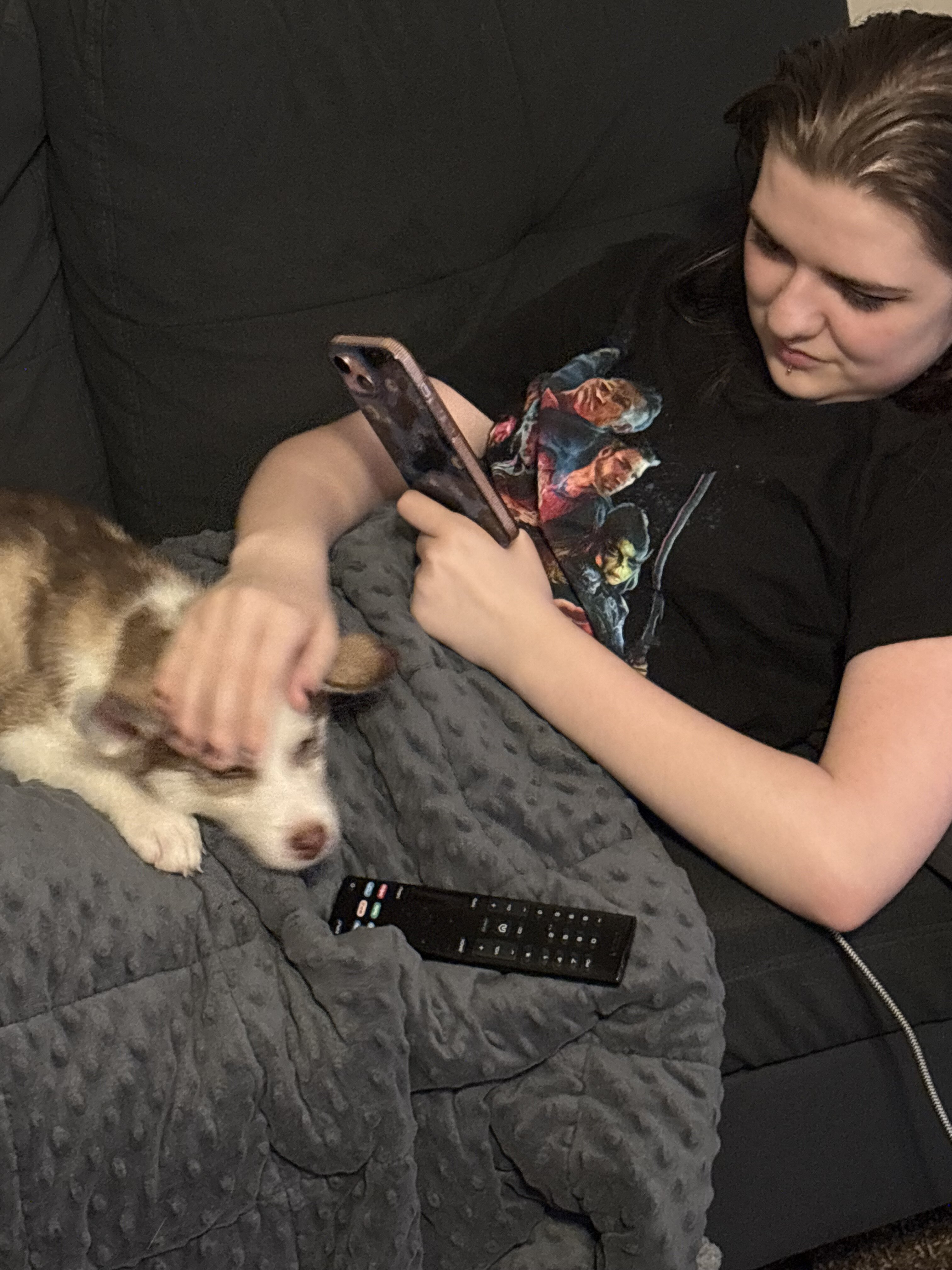 Huskey image 2