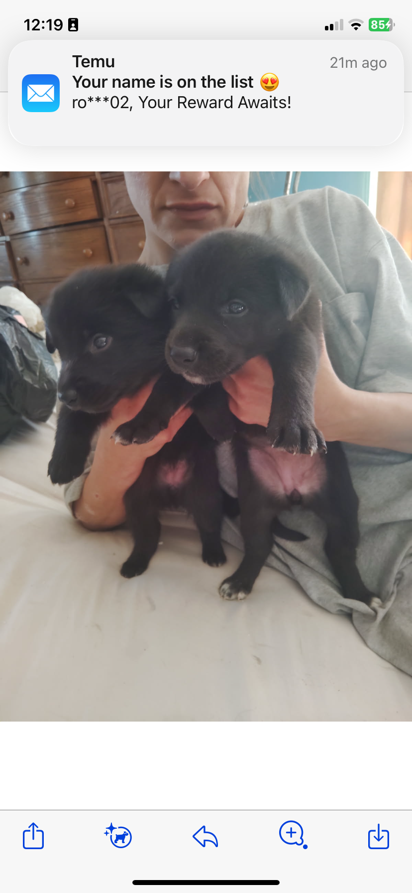 🐶 puppies image 3
