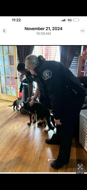German shepherd teen girl image 2