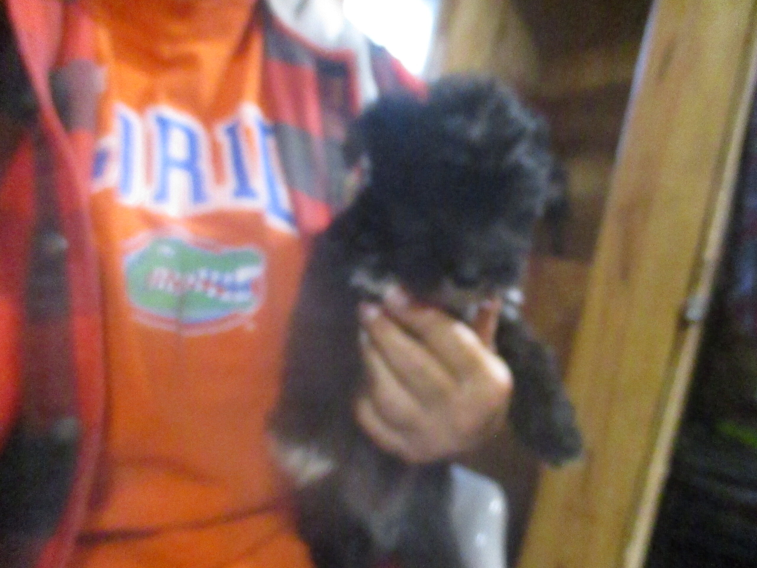 SCHNOODLE CKC PUPPIES $275 image 6
