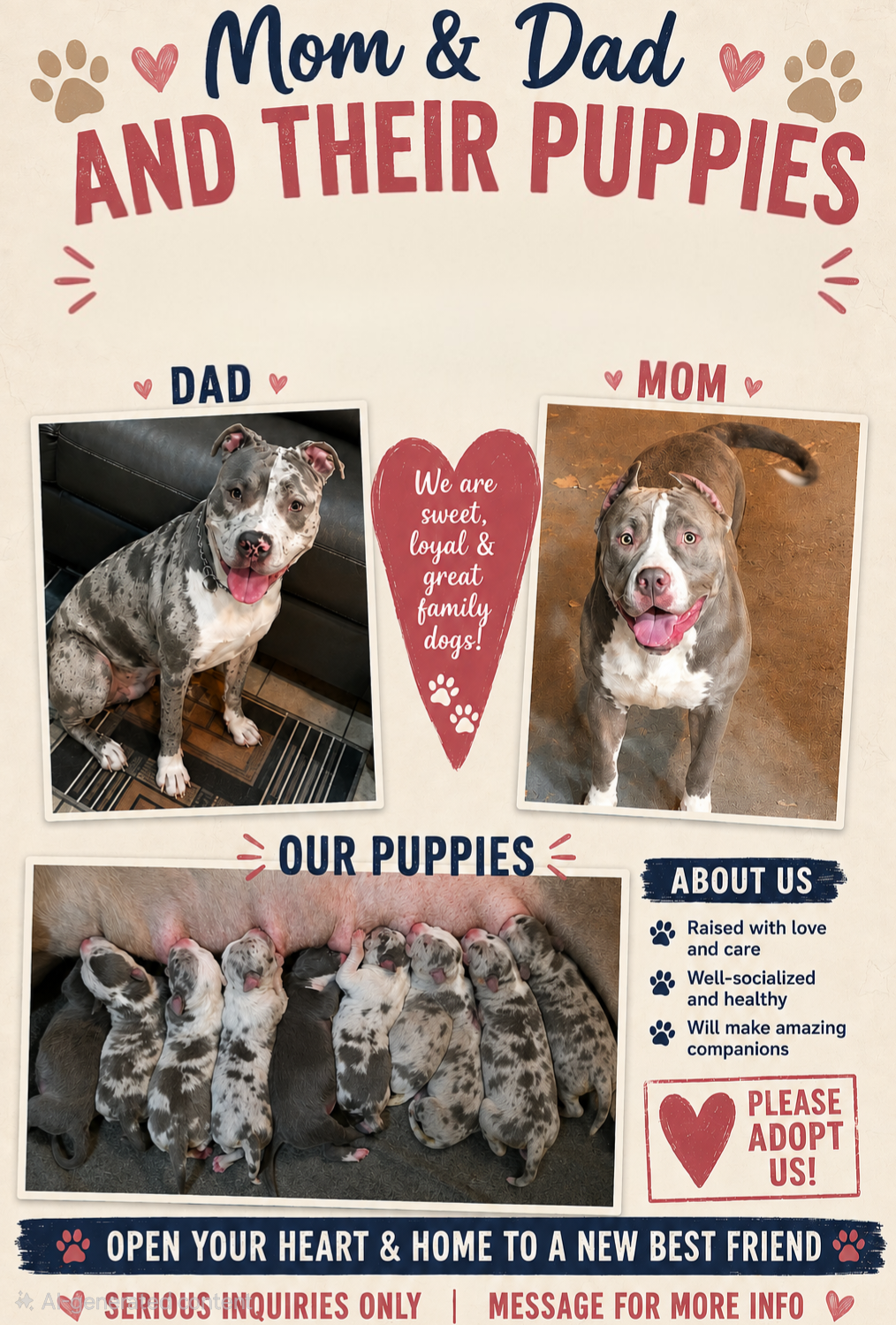 Bully Puppies image 1