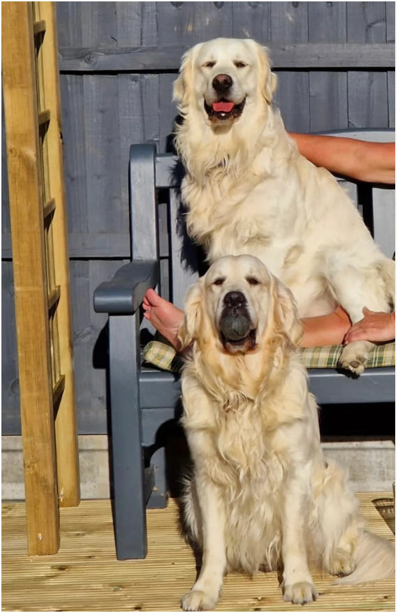 Seriously chunky & Fluffy babies image 9