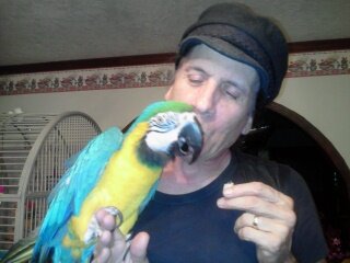 Blue Gold MaCaw image 10