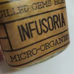 24' Baby fry food microfauna culture Infusoria