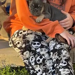 Adorable Luna