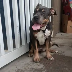 Marco