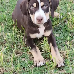 Adorable Baby Girl