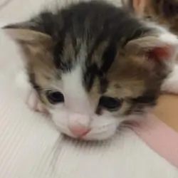 🌤️ Meet Sky 🌤️
