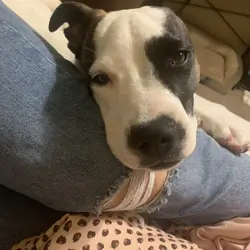 Gwinnie